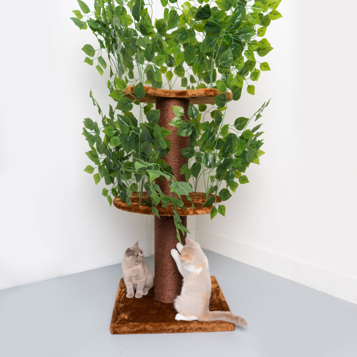 Cat Tree For Large Cats Cat Tree Natural Leaves CatTreeKing Australia cat-tree-for-large-cats-cat-tree-natural-leaves-cattreeking-australia