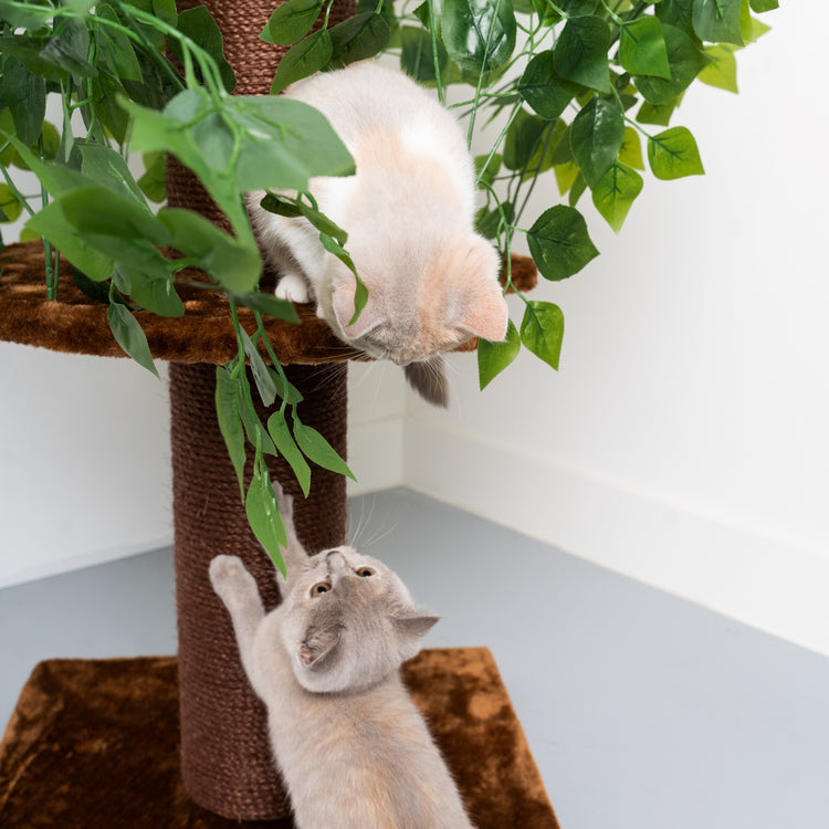 Cat Tree Natural Leaves