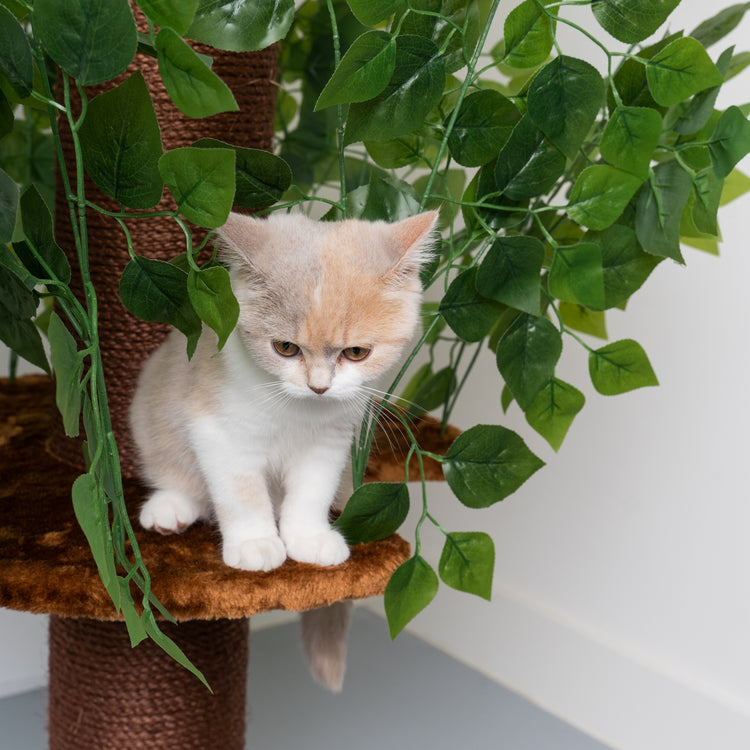 Cat Tree Natural Leaves