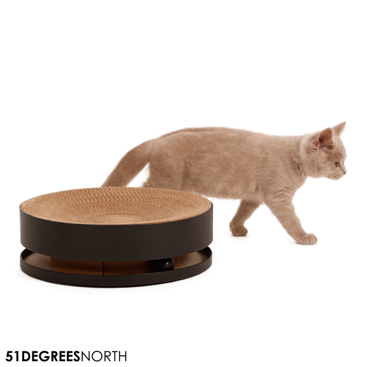 Carton Toy - Black - Double layer