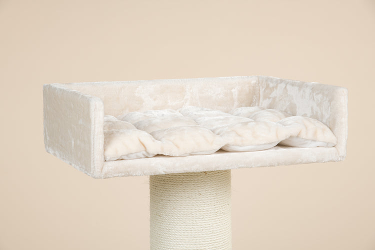 Cat Trone XXL Beige