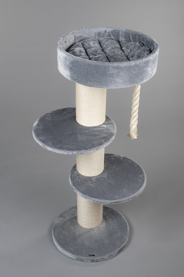 Maine Coon Sleeper Light Grey