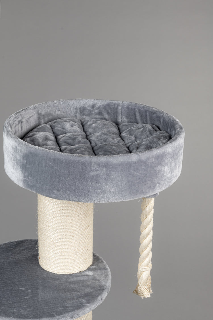 Maine Coon Sleeper Light Grey