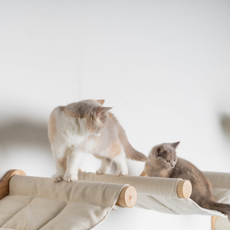 Cat Climbing Wall - Hammock de Luxe XXL (Beige)