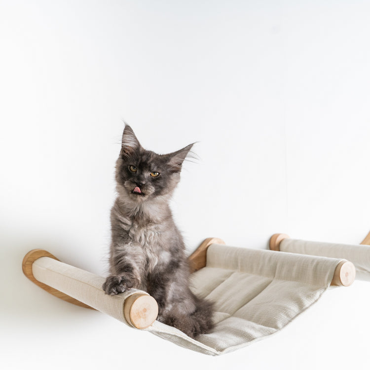 Cat Climbing Wall - Hammock de Luxe XXL (Beige)