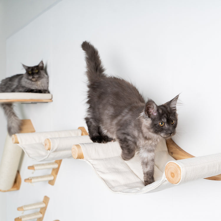 Cat Climbing Wall - Hammock de Luxe XXL (Beige)