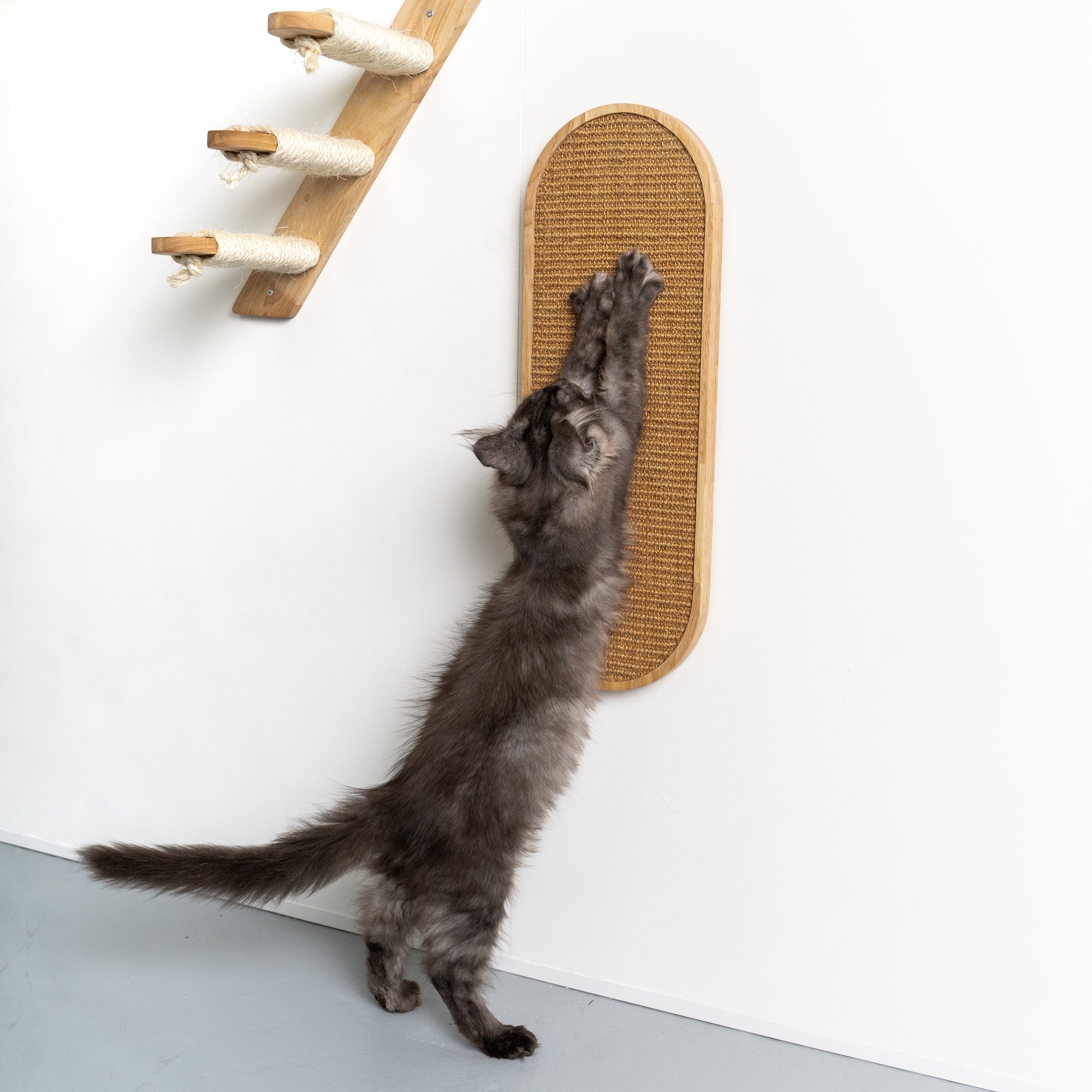 Cat climbing scratching on sale posts