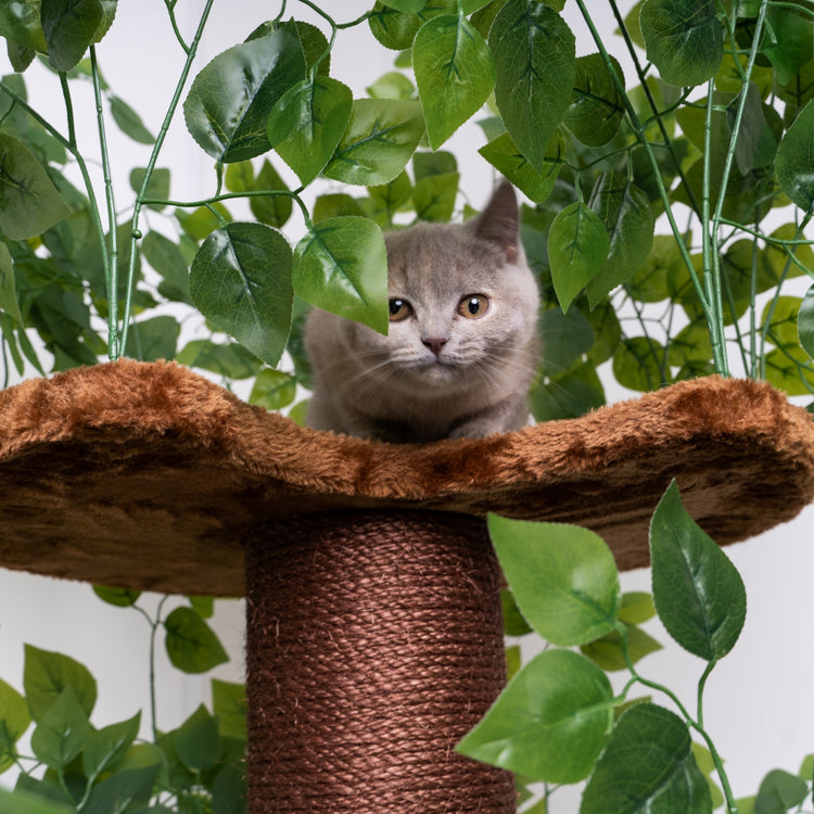 Cat Tree Natural Leaves