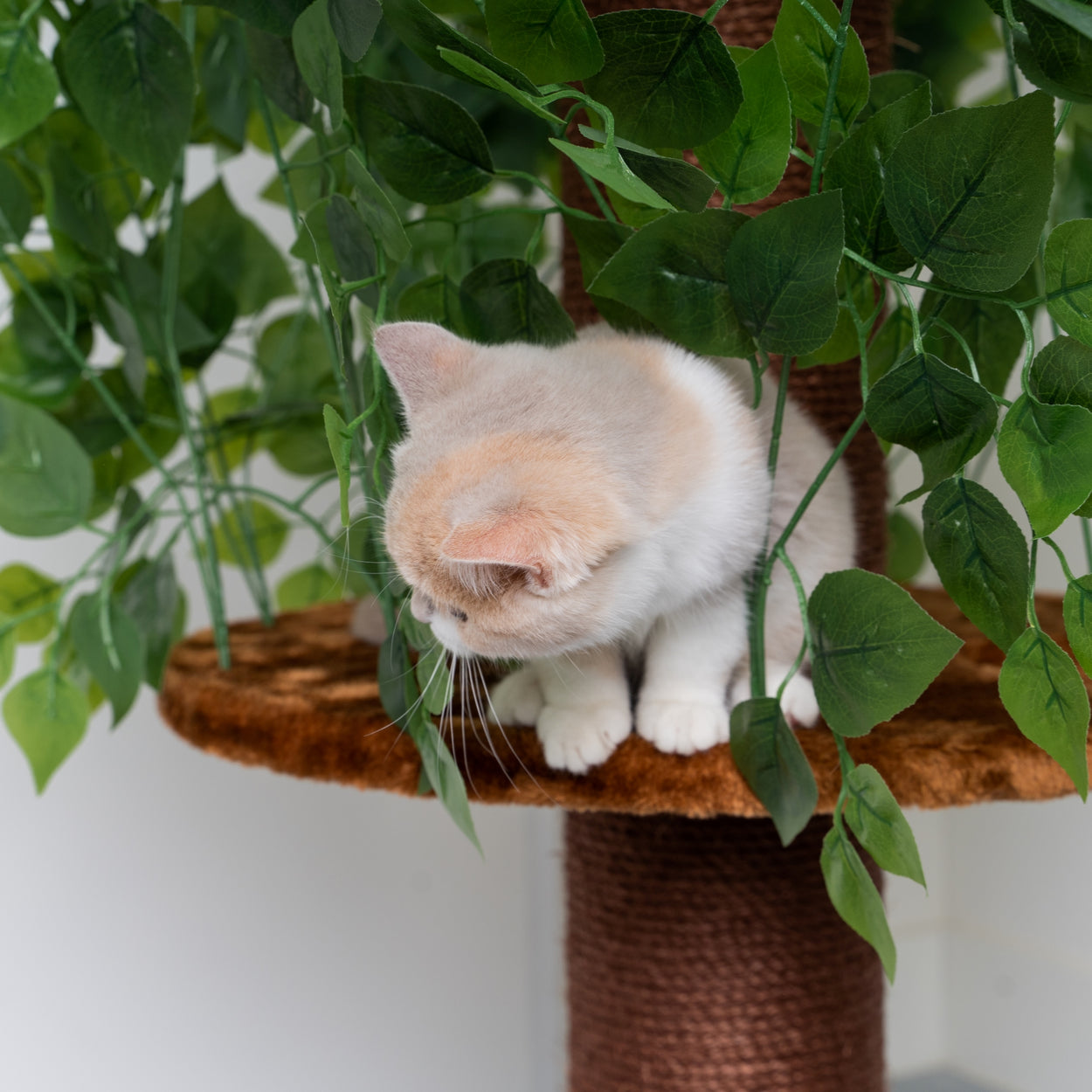 Cat tree with leaves and clearance branches