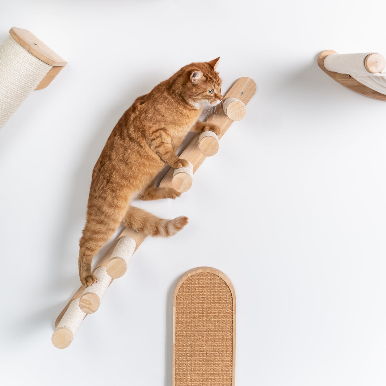 Cat Climbing Wall – Ladder Kit (Beige) - Main Image