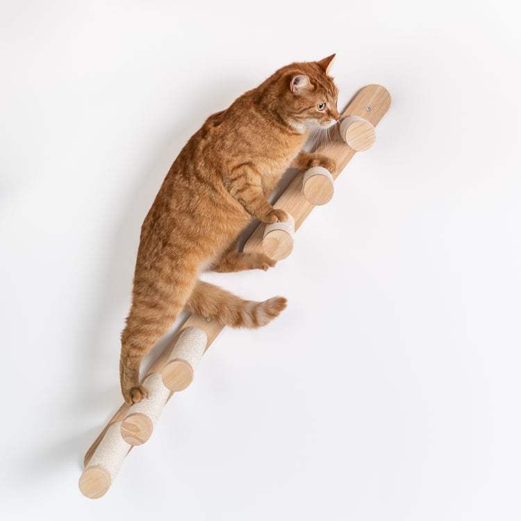 Cat Climbing Wall – Ladder Kit (Beige)