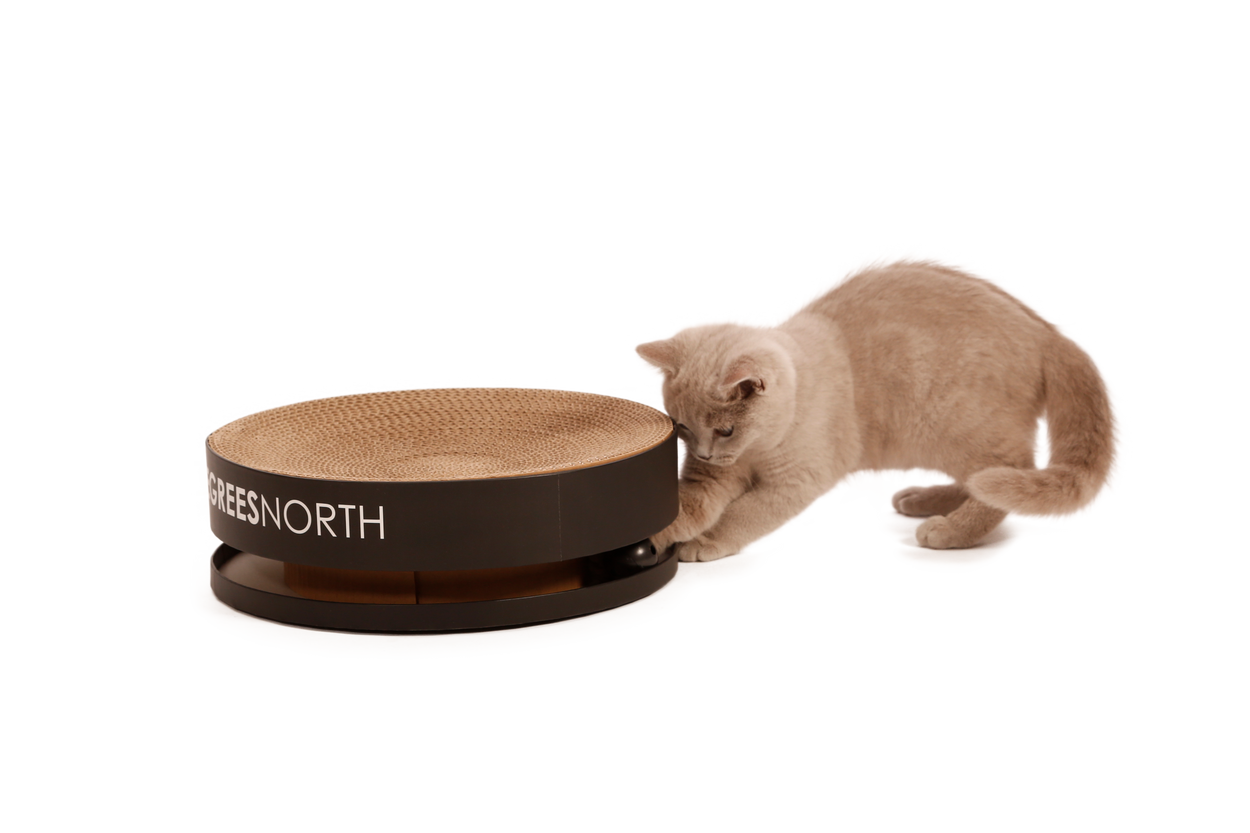 Carton Toy - White - Double layer