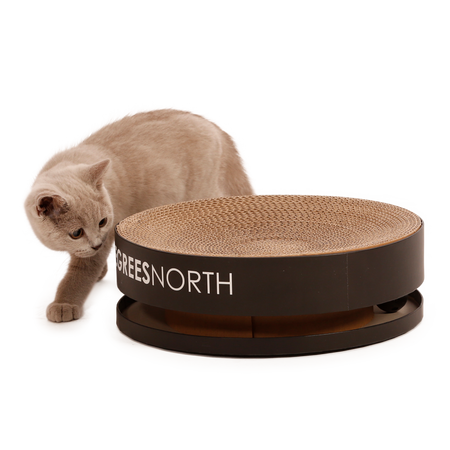 Carton Toy - Black - Double layer