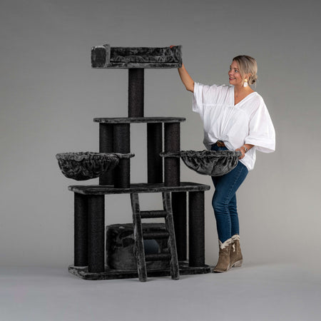 Cat Trees Cat Towers Tree Houses Cat Tree King Australia