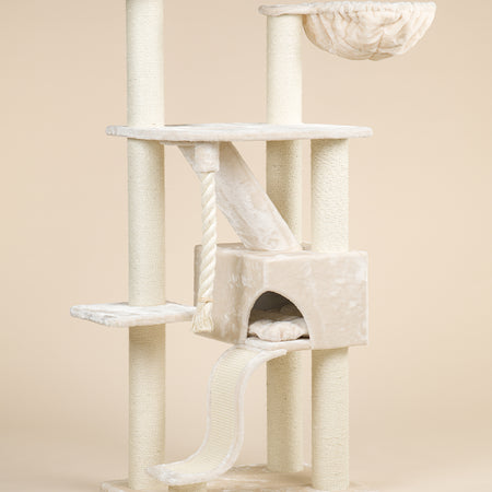 Cat tree king au 2025