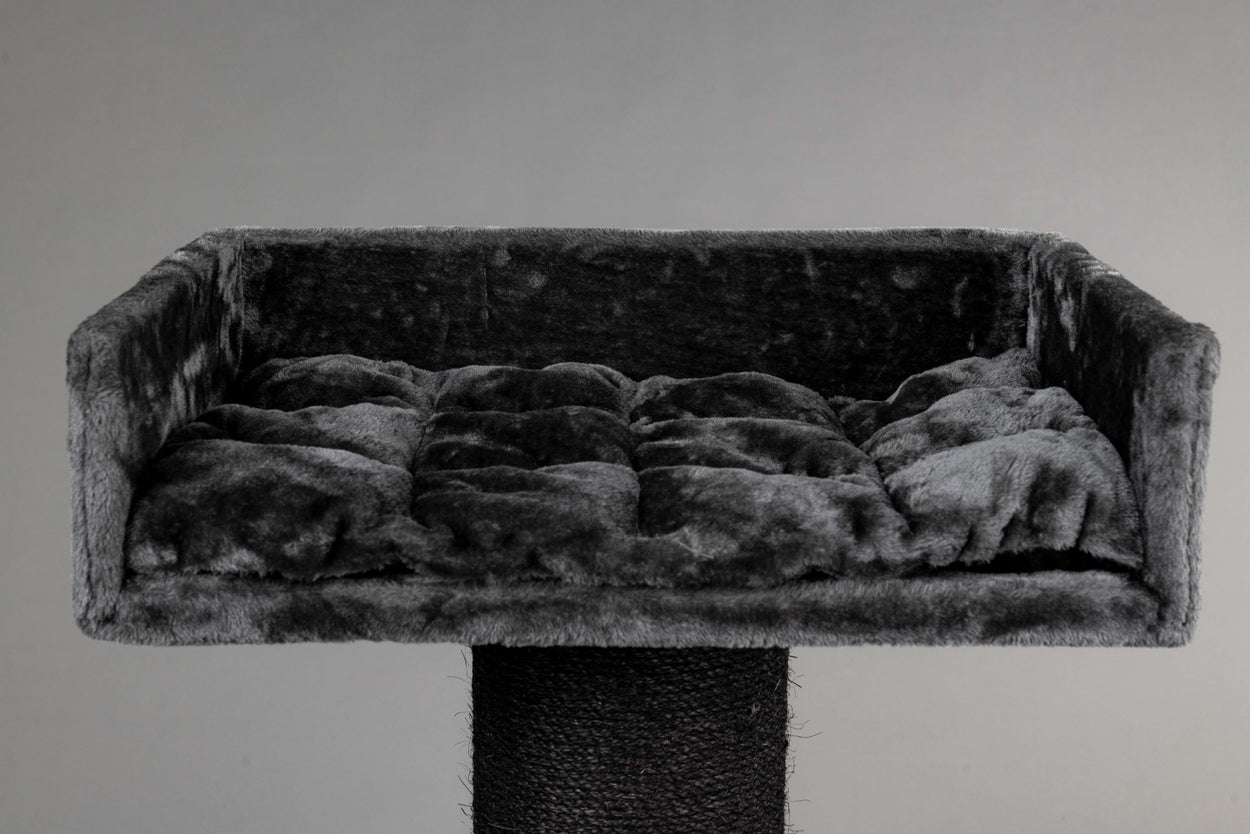 Cat Trone XXL Blackline Dark Grey