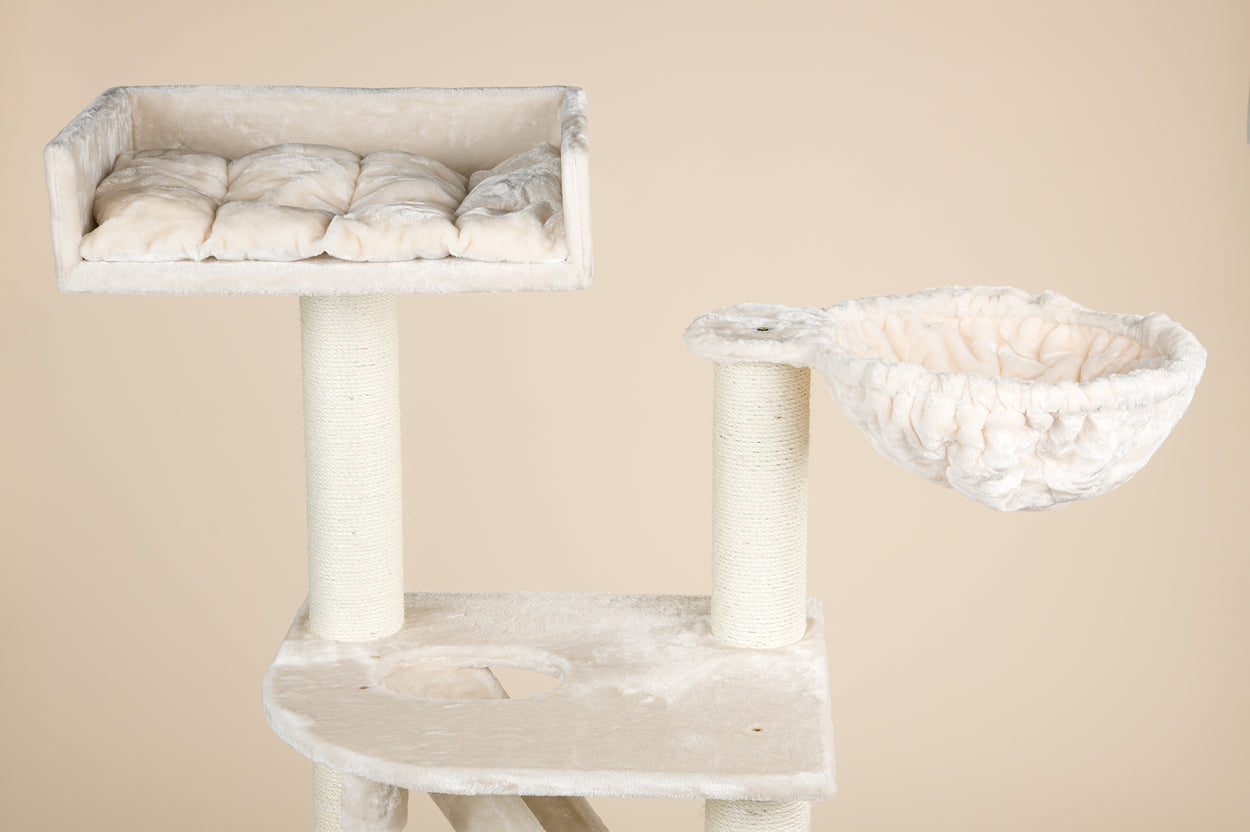 Condo cat store