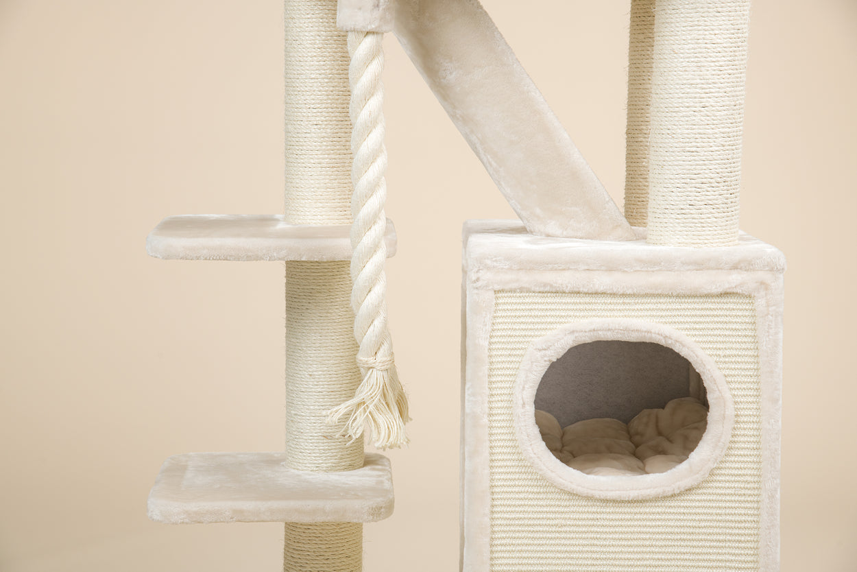 72 cat top tree condo