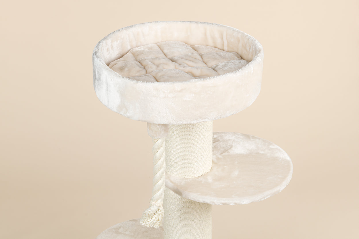 Maine Coon Sleeper Beige