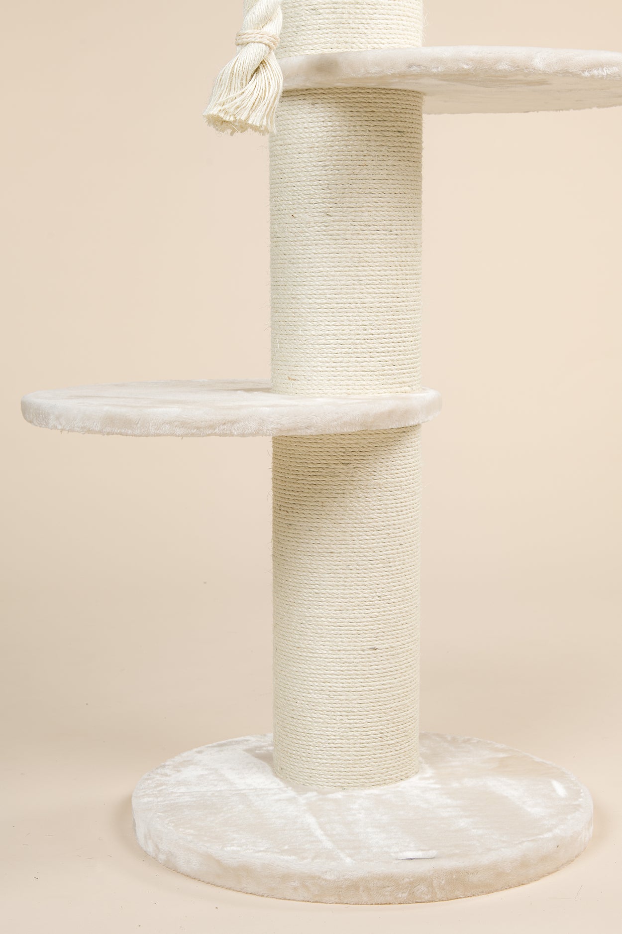 Maine Coon Sleeper Beige