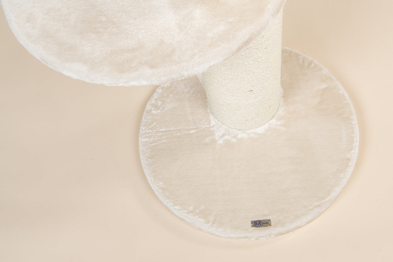 Maine Coon Sleeper Beige