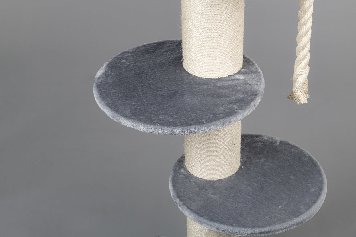 Maine Coon Sleeper Light Grey