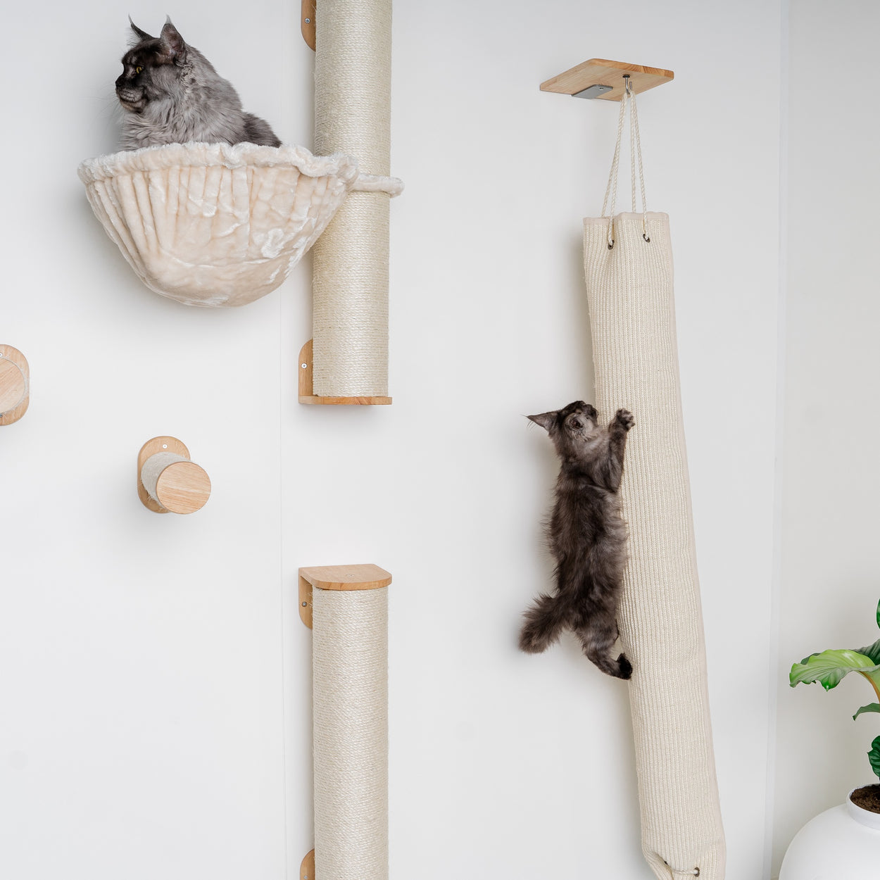 Wall best sale cat tower