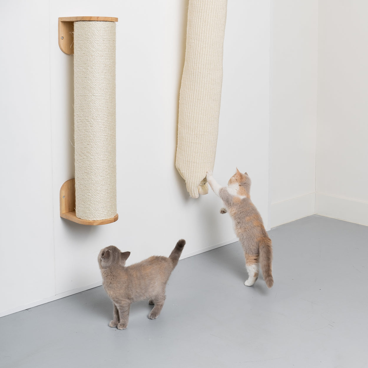 Cat wall clearance climbing systems australia