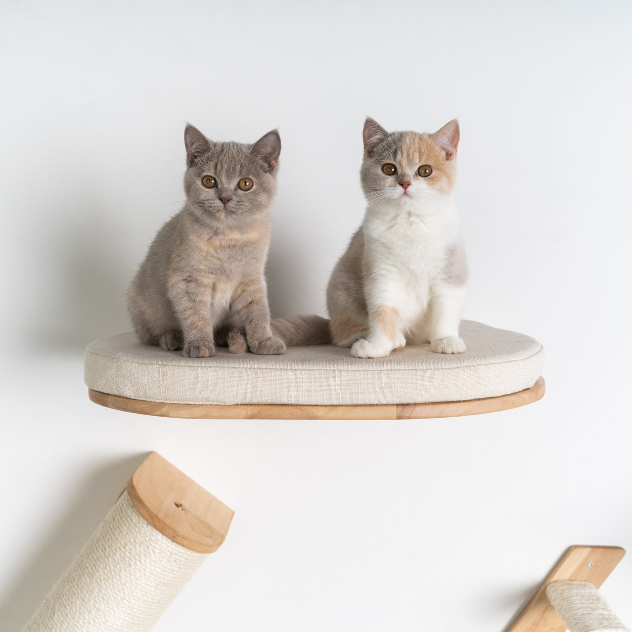 Cat Climbing Wall Cat Bed de Luxe Beige