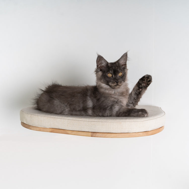 Cat Climbing Wall - Cat Bed de Luxe (Beige)