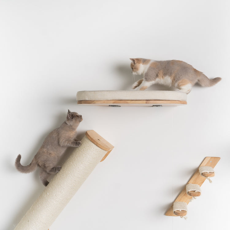 Cat Climbing Wall - Cat Bed de Luxe (Beige)