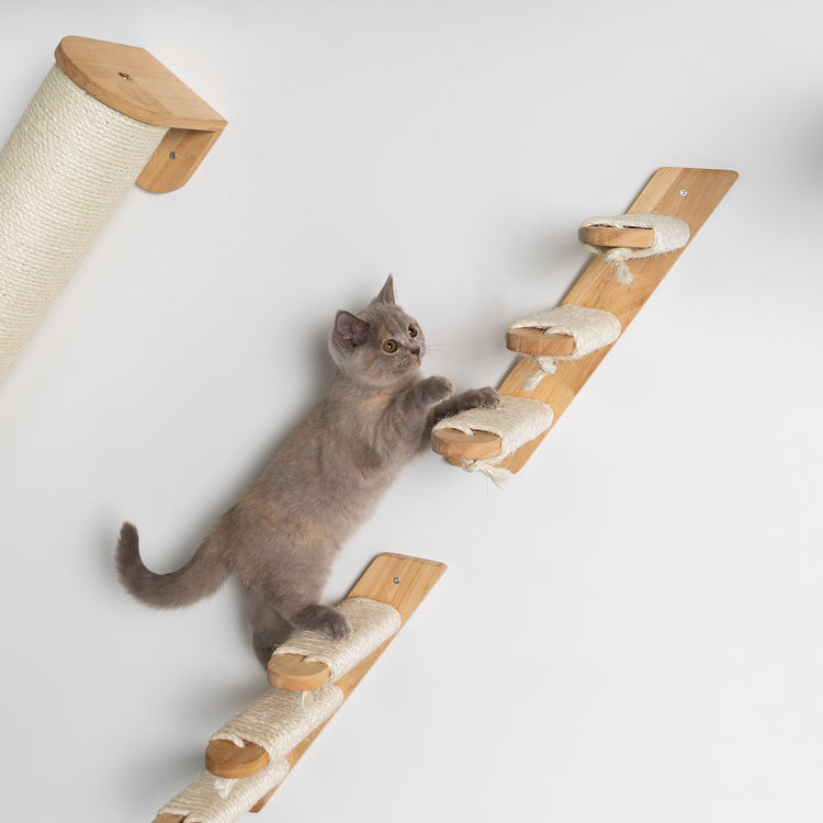 Cat Climbing Wall – Ladder Kit Beige