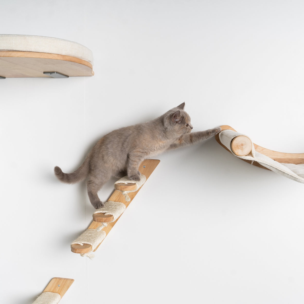 https://cattreeking.com.au/cdn/shop/products/rhrquality-climbing-wall-cat-wall-ladder-set-beige-11_1250x.jpg?v=1669208556