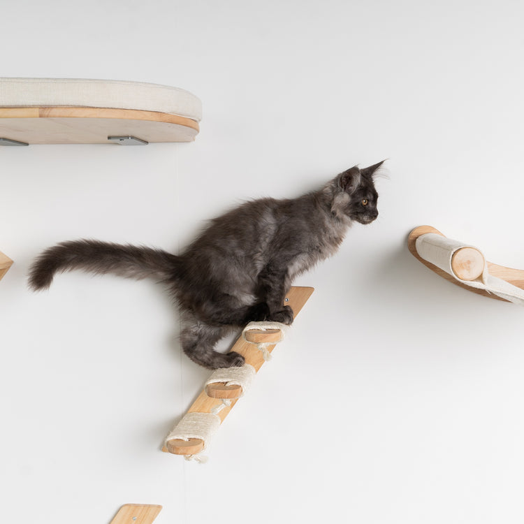 Cat Climbing Wall – Ladder Kit Beige