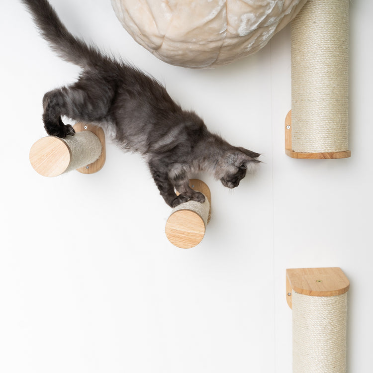 Cat Climbing Wall - Sisalpole Set (Beige)