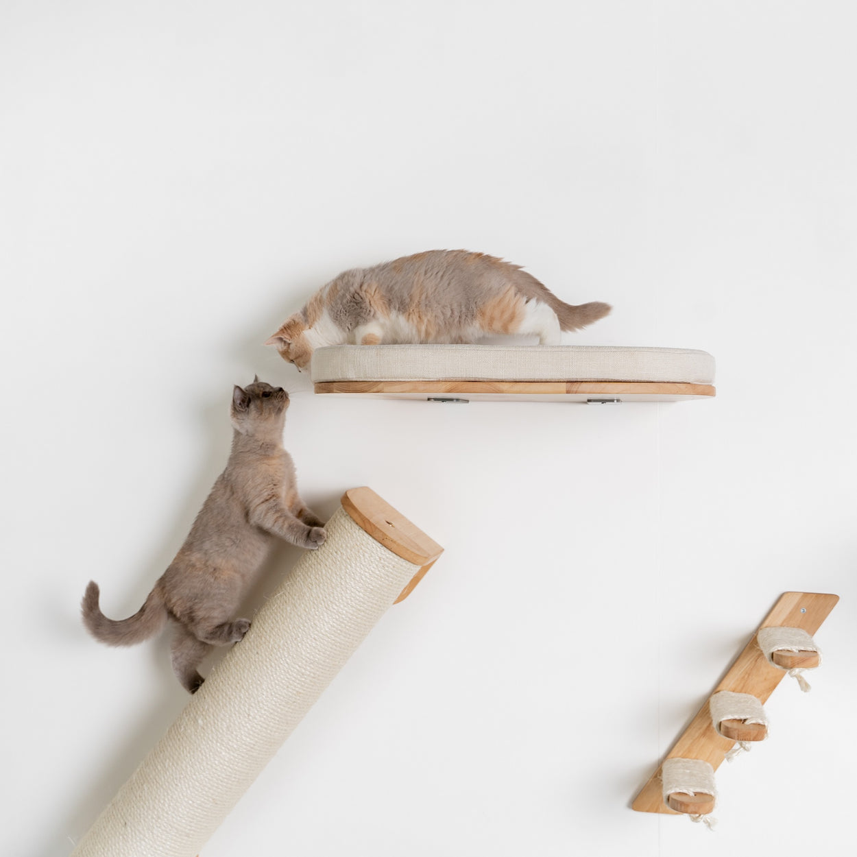 Cat Climbing Wall Sisalpole XXL (Beige) - Main Image